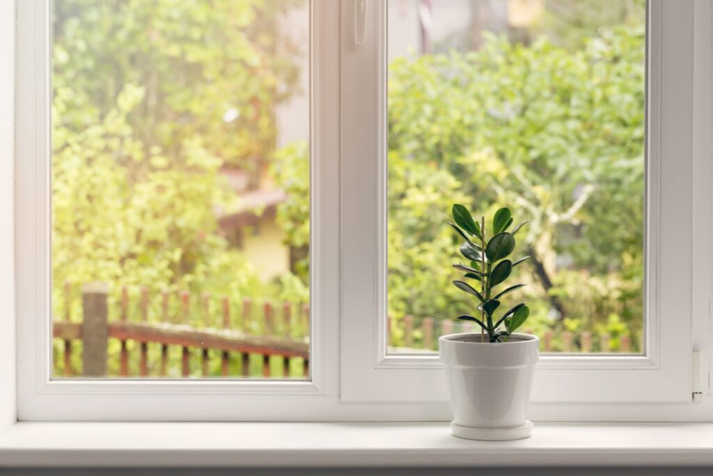 Ett fönster med vit träram, en blomkruka med en växt står i fönstret